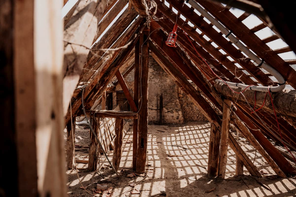 Wooden roof rafters and framing seen from inside a roof space